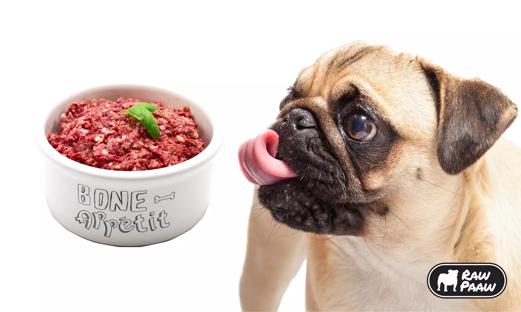 Pet Food and Accessories from Raw Paaw (Up to 50% Off). Two Options Available. - Primary Image