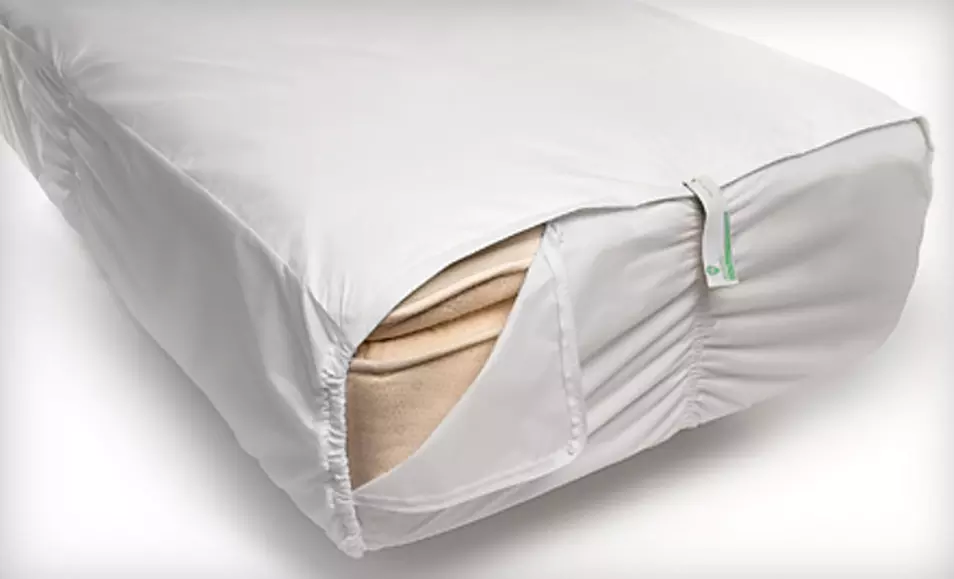 CleanRest Hypoallergenic Mattress Encasement (Up to 75% Off). Five Sizes Available. Free Shipping and Returns. - Primary Image