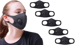 Dust Masks