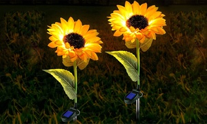 Two Solar Sunflower Lights