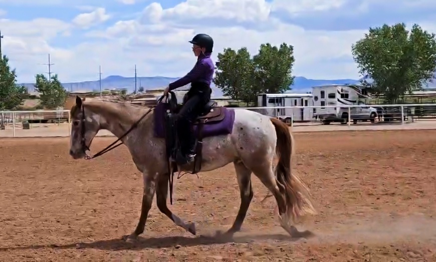Image 1: Enjoy Horseback Riding Lessons for Four Weeks in June and July 2025!