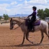 Image 1: Enjoy Horseback Riding Lessons for Four Weeks in June and July 2025!