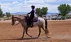 Up to 47% Off on Horseback Riding Lessons for Four Weeks at Harmony Riding
