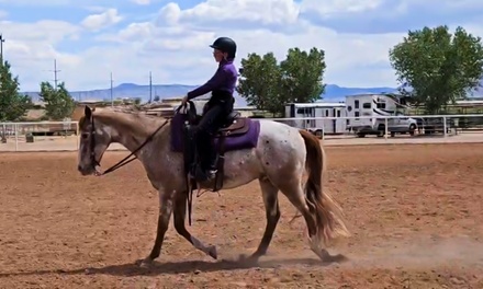 Horseback Riding Lessons - 1x/week for 4 weeks - valid June/July 2025 - Harmony Riding