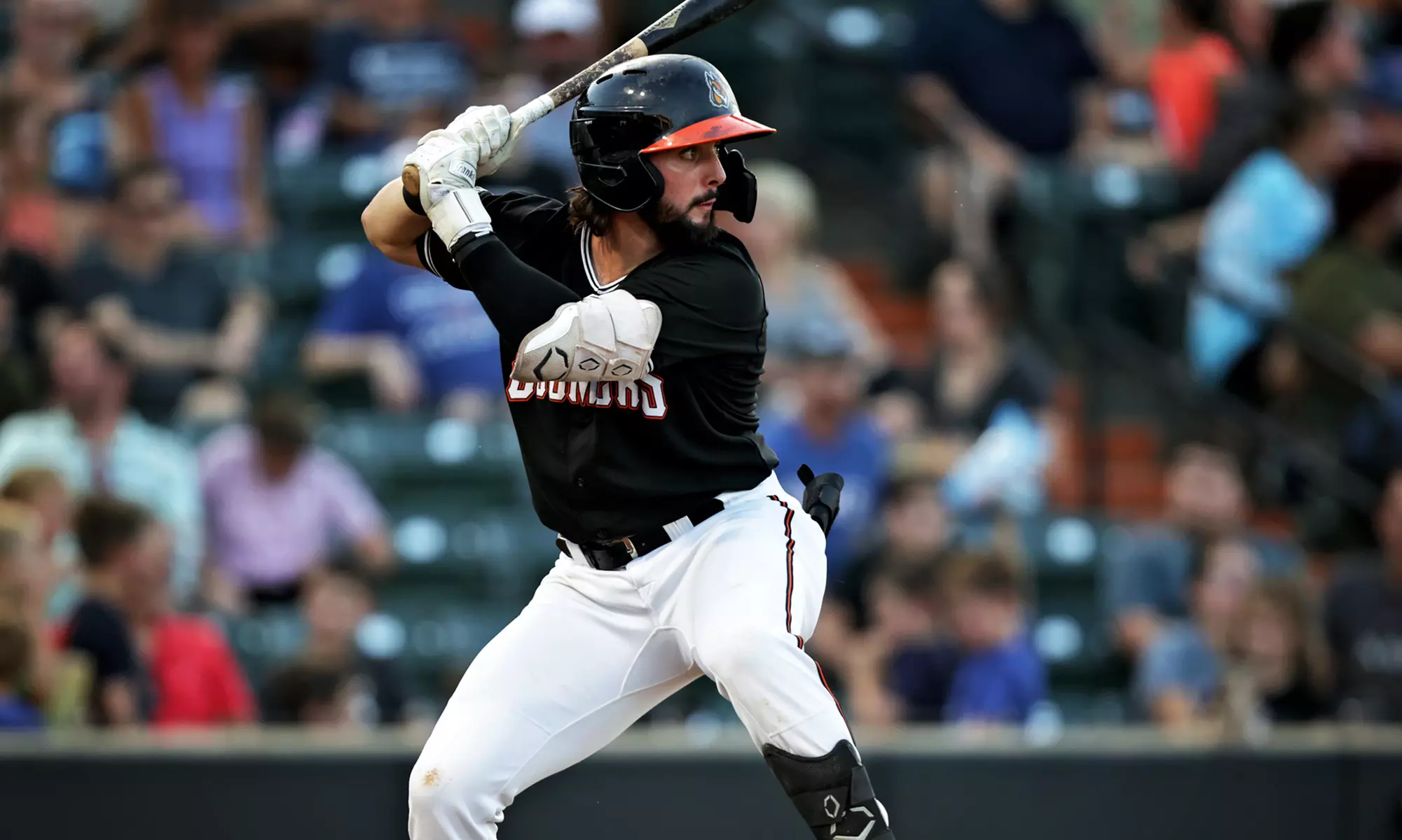 Schaumburg Boomers Baseball Game 2025 5/2-8/28