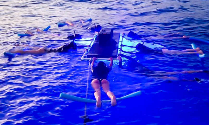 Image 2: Manta Ray Night Snorkel for 1, 2, 3, or 4 Guests