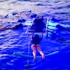Image 2: Up to 20% Off on Snorkeling at Manta and Snorkel Co Kona