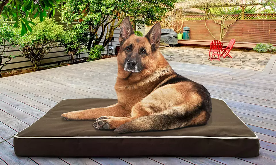Furhaven Indoor-Outdoor Orthopedic Pet Bed. Multiple Sizes Available. - Primary Image