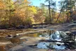 Private 1-hour Golf Cart Tour for 2, 3, 4, or 5 with Lake Views from Peachtree City Cart Tours (Up to 28% Off) - Second Medium
