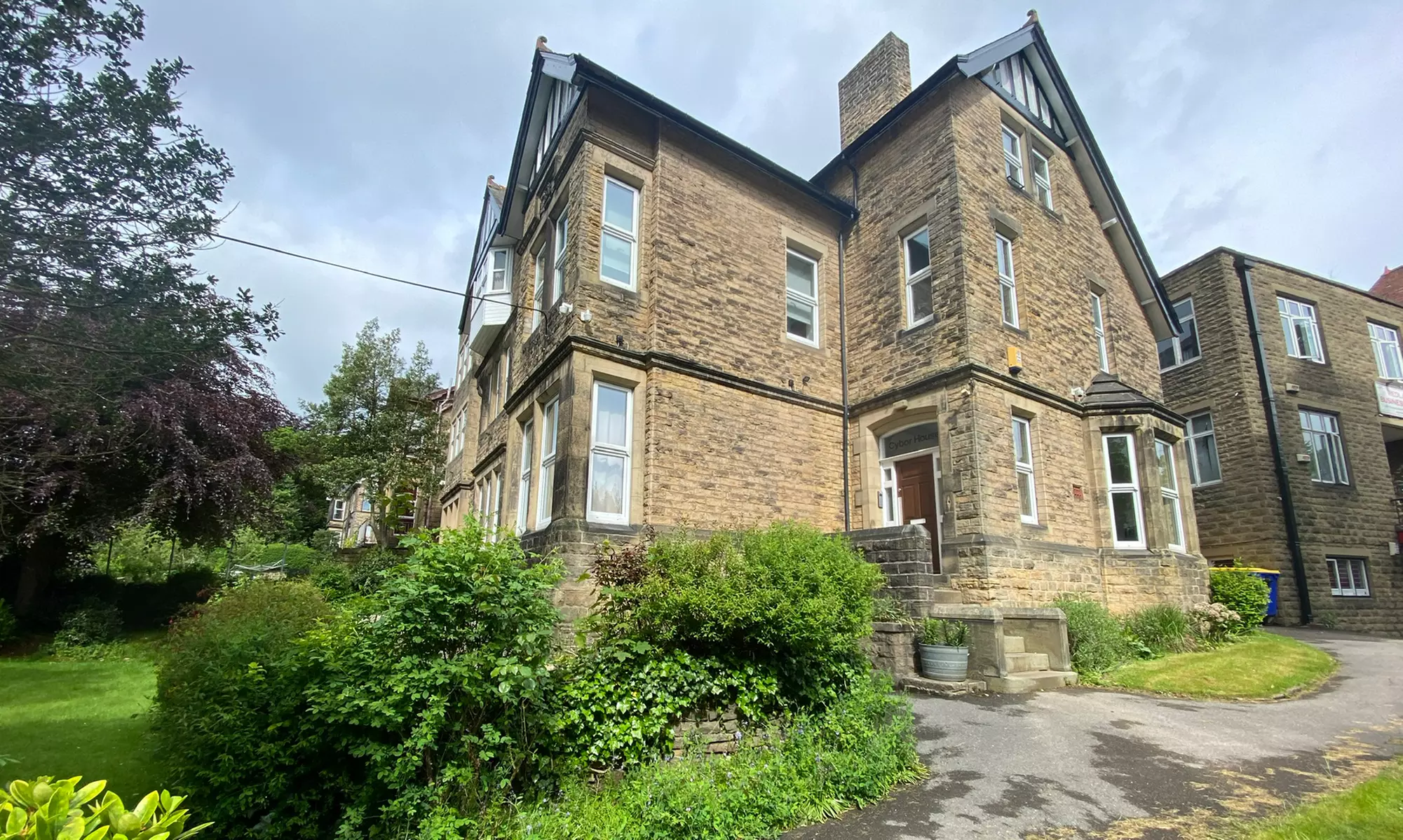 Revive Your Hair: Mesotherapy with Biotin and LED Therapy!