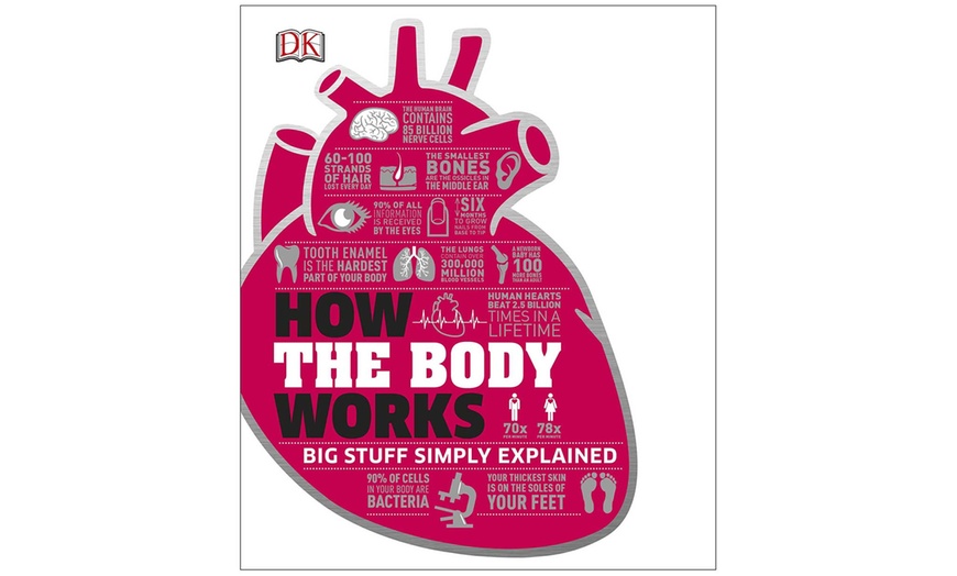 How The Body Works Book | Groupon Goods