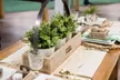 Explore Hundreds of Home & Garden Experts & Find Exclusive Deals at the Cincinnati Show - Second Medium