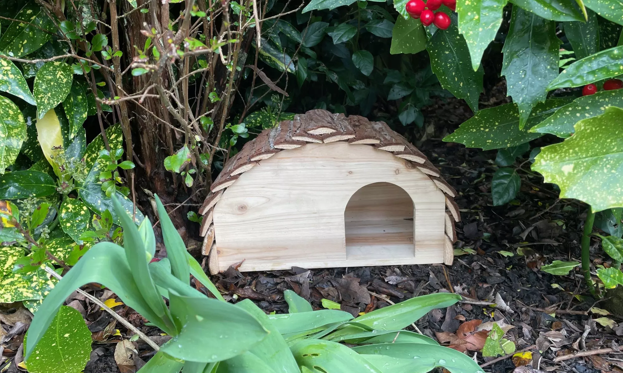 Garden Gear Wooden Hedgehog House Collection - Primary Image