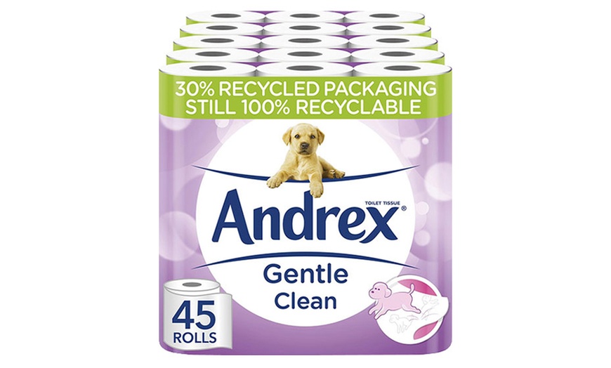 Image 1: Rolls of Andrex Gentle Clean Toilet Tissues