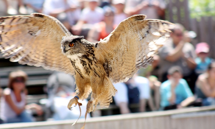 Image 6: Entrée au Parc Animalier de Courzieu 