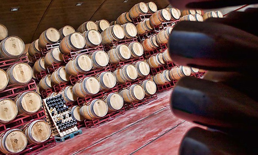 Image 8: Visita guiada a bodega con cata de 3 vinos y tapas para 2 o 4 personas