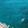 Image 10: Riviera di Ponente: appartamento mono/bilo per 2 o 4 persone