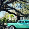 Image 1: Discover the Architectural Gems of New Orleans on a Guided Tour