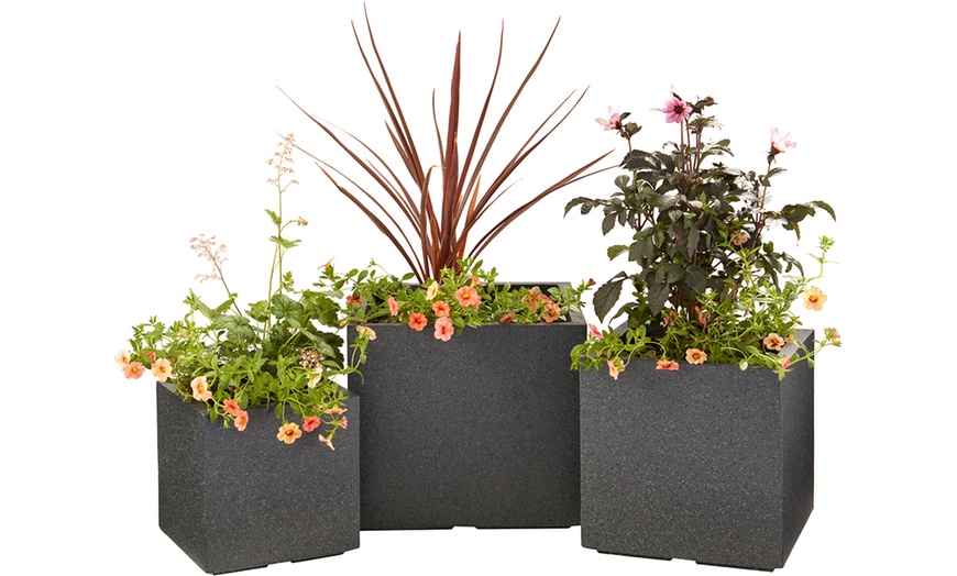 Set Van 3 Klei-plantenbakken | Groupon Goods