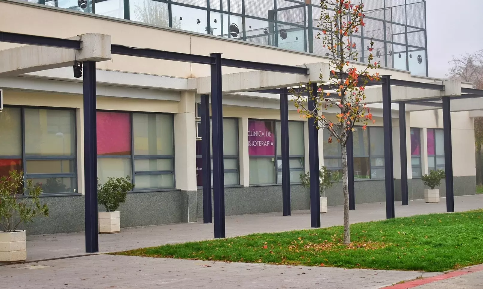 Masaje a elegir con opción a masaje craneo-cervical o podal