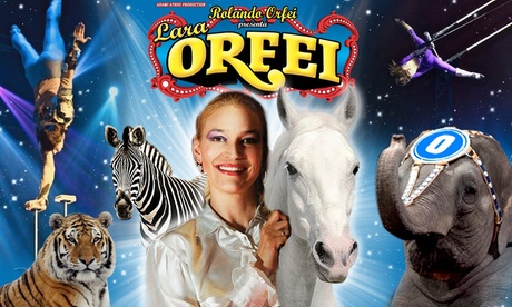 Circo Rolando Orfei - dal 25 settembre al 4 ottobre a Guidonia (sconto fino a 46%)