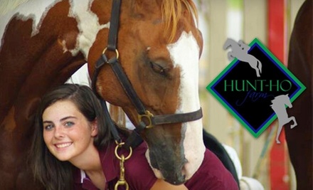 $22 for One-Hour Private Horseback-Riding Lesson at Hunt-Ho Farm, Inc. ($45 value) - Primary Image