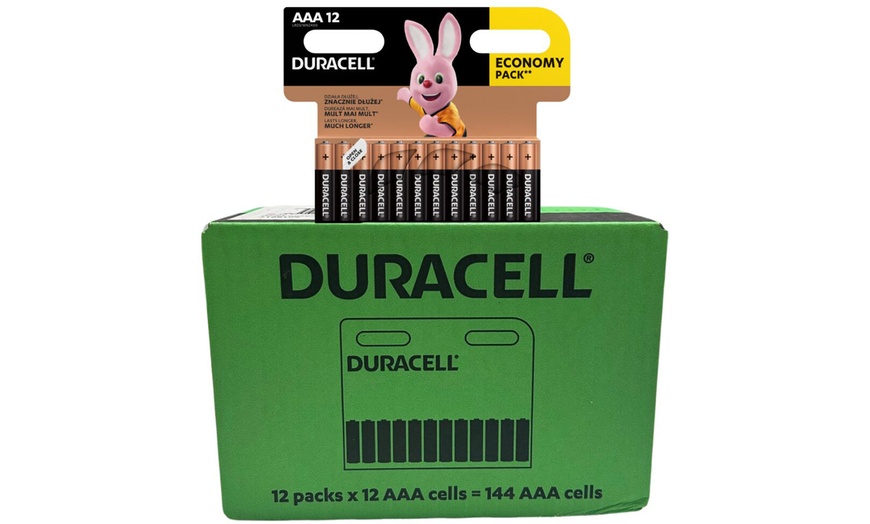 Image 3: 12 x 12 Duracell AA en AAA batterijen 