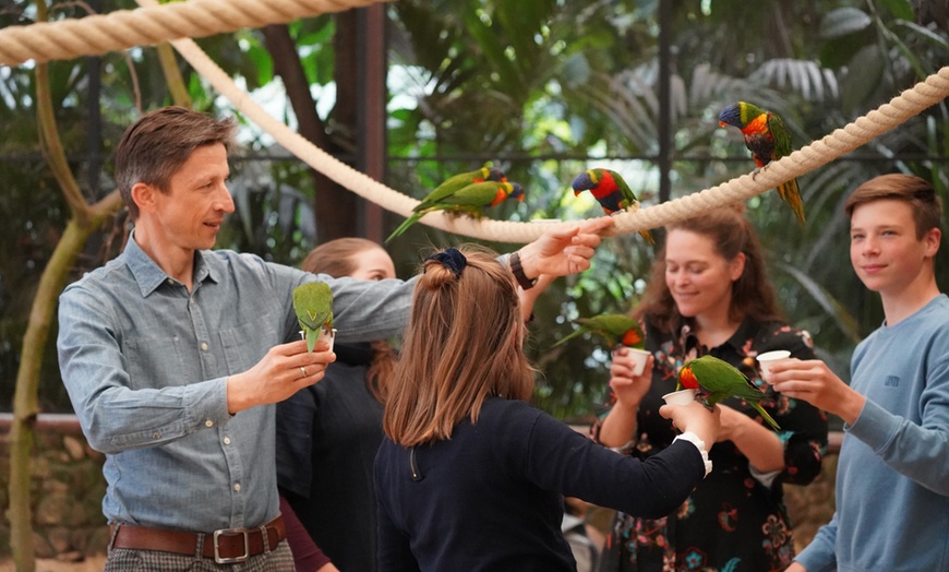 Image 1: Tageskarte Weltvogelpark Walsrode