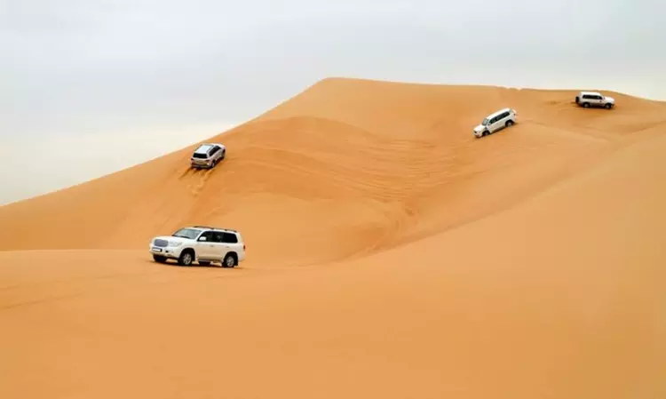 Desert Safari with Personalised Pick-Up and Drop-Off for Up to Four with RAH Tours - Primary Image