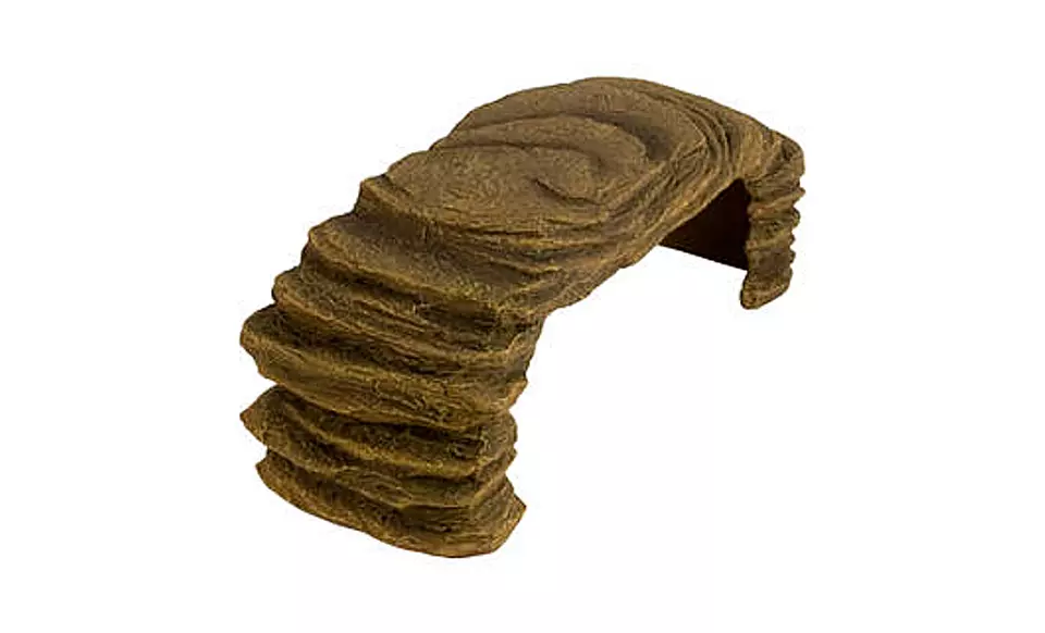 TetraFauna Turtle Terraces and ReptoFilters. Free Returns. - Second Medium