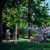 Image 16: Ticket to Dinosaurs In The Park for 2, 3 or 4 (17th May-8th June 2025)