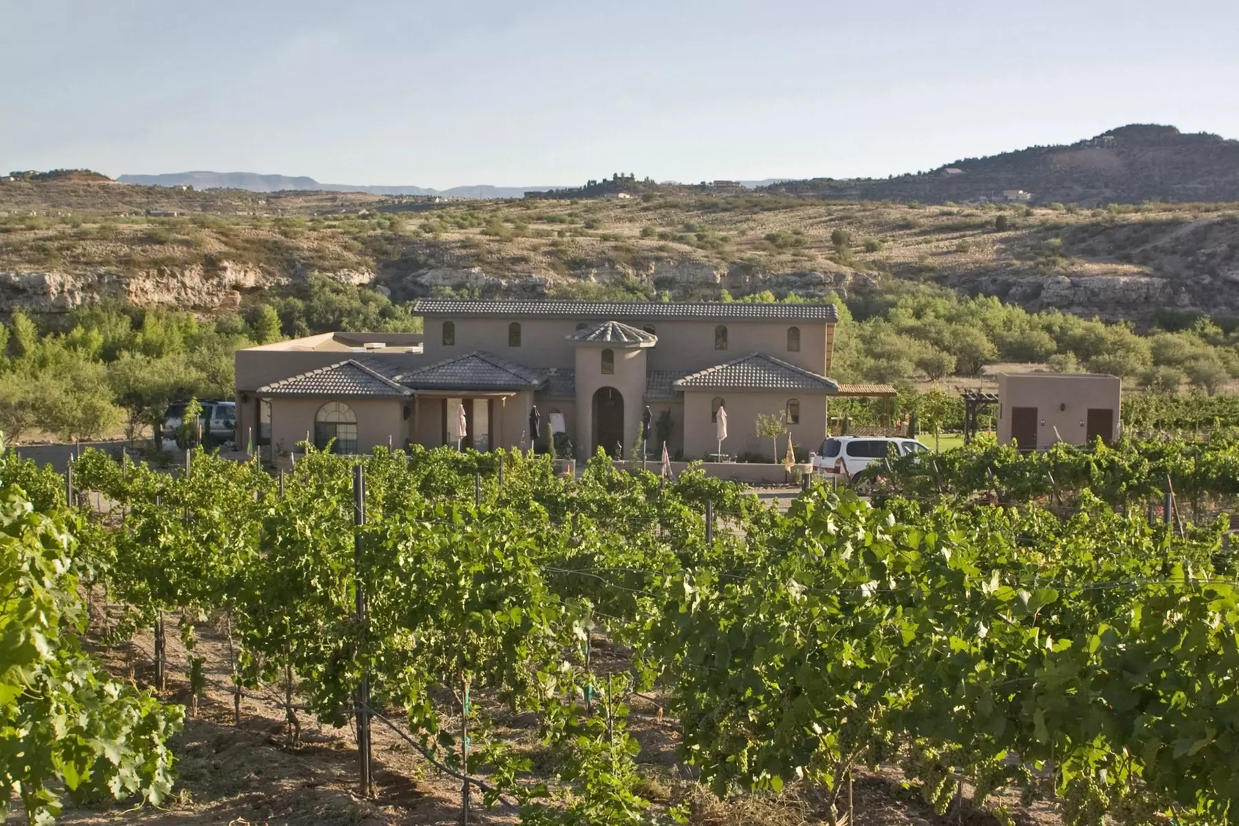 Up to 21% Off on Wine / Vineyard Tour at Sedona Vineyard Tours