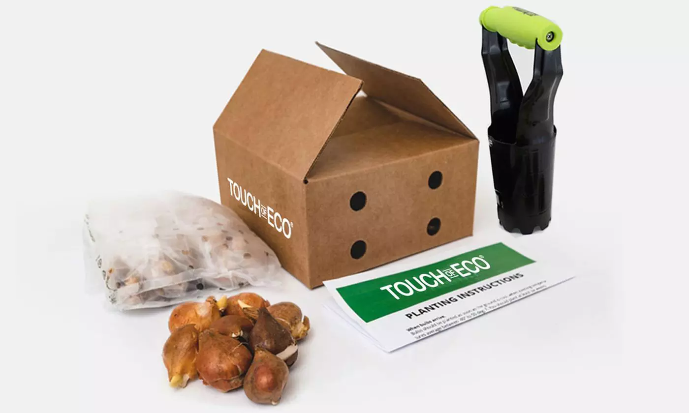 Giant Gladiolus Mixed Flower Bulbs (40-, 80-, or 200-Pack with Bulb Planter) - Second Medium