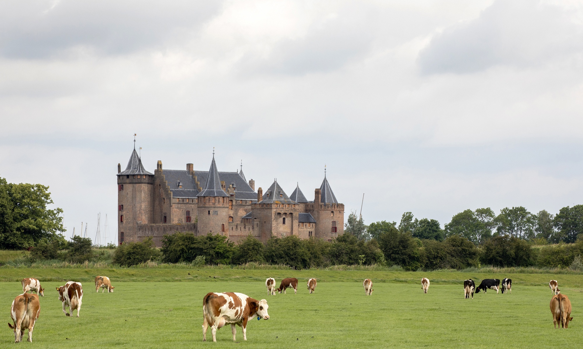 Enjoy a Farm Date Night Like Never Before