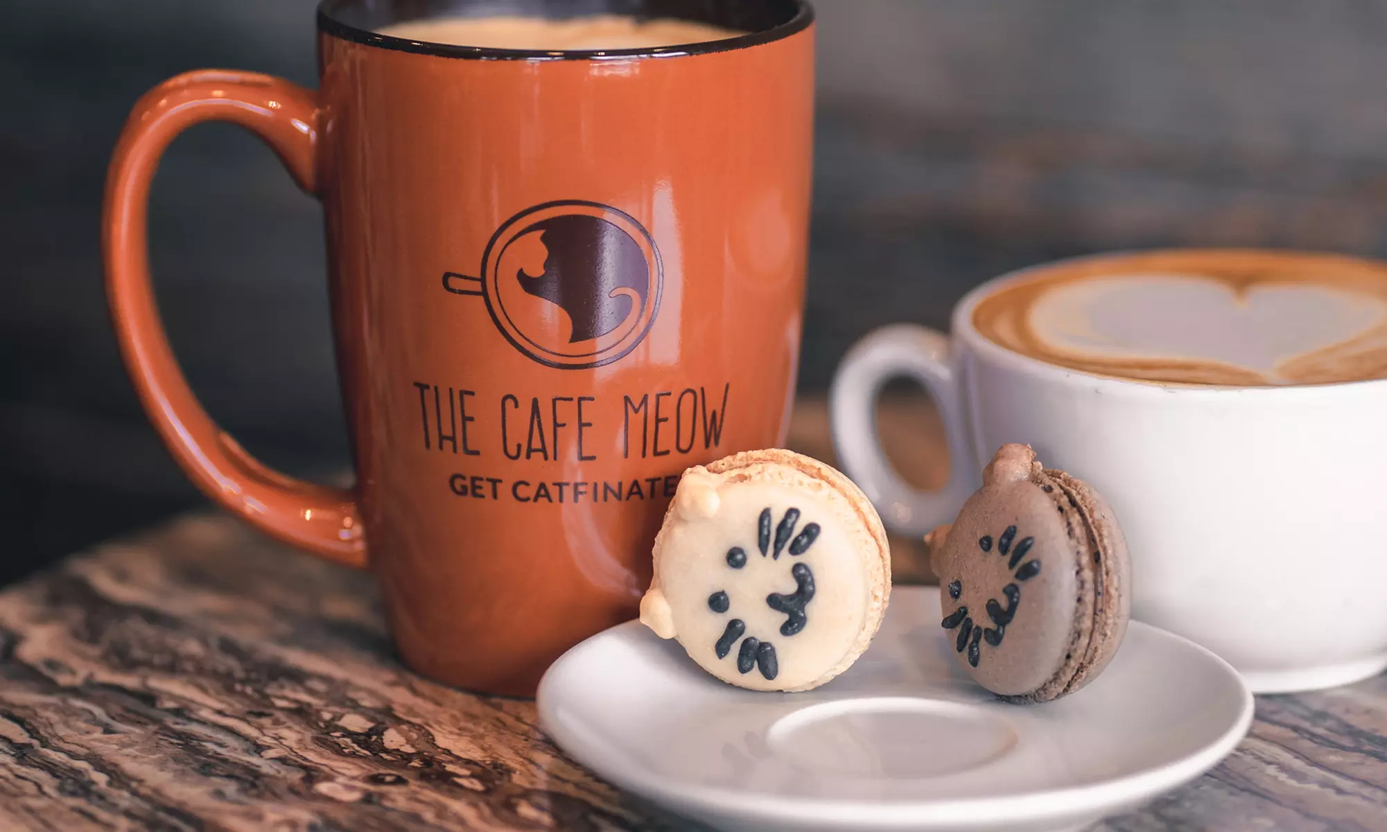 Cat Lounge Hours or yoga Sessions for One or Two at The Cafe Meow (Up to 25% Off). Six Options Available. - Primary Image