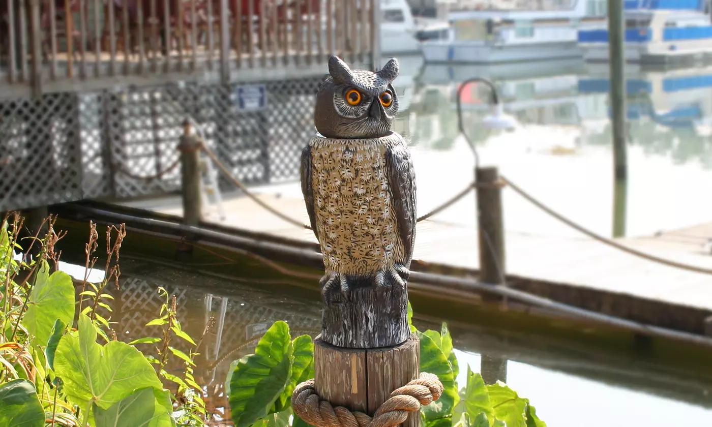 Natural Enemy Scarecrow Rotating-Head Owl - Primary Image