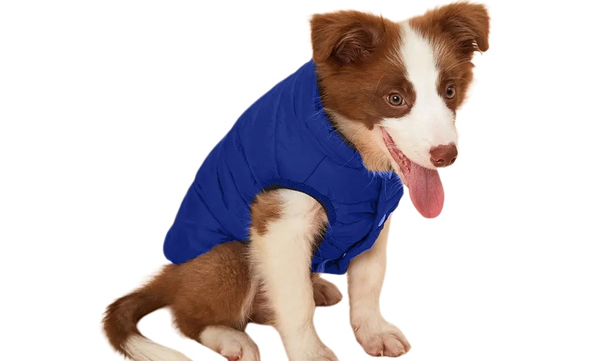 Image 7: Warm Lined Dog Coat Winter Jacket