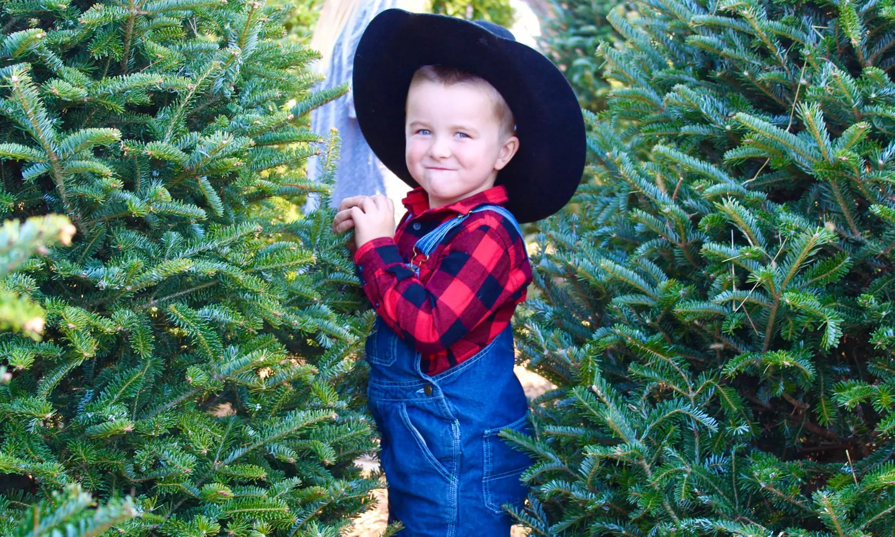 Christmas Light Spectacular Through Dec 31, 2024 at Armstrong Artisan Farm (Up To 25% Off) - Second Medium