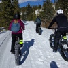 Image 3: Fat Bike Adventures: Breckenridge Tours for 4-15 Explorers