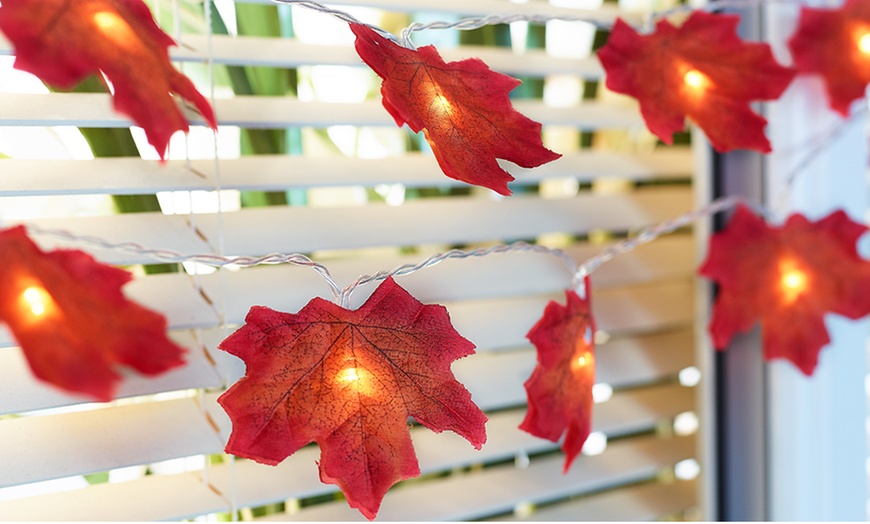 Image 1: Guirlande lumineuse 10 LED feuilles d'érables