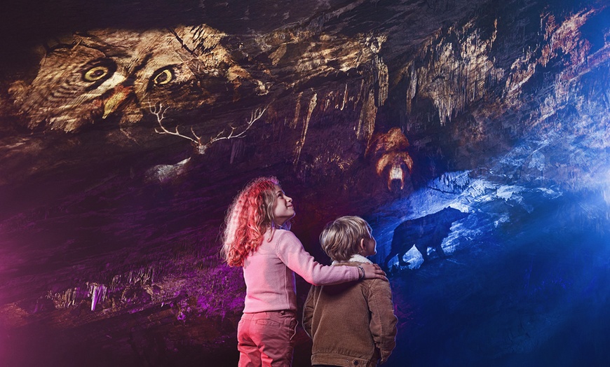 Image 8: Aventurez-vous au cœur de la Grotte de Han et de son parc animalier