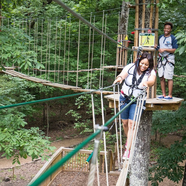 Go Ape In Western Springs Il Groupon