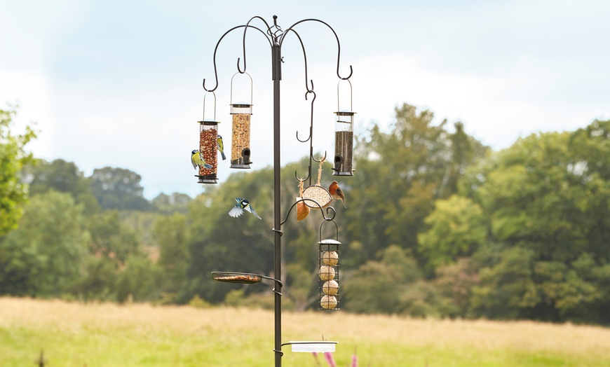 Image 2: Bird Feeding Station