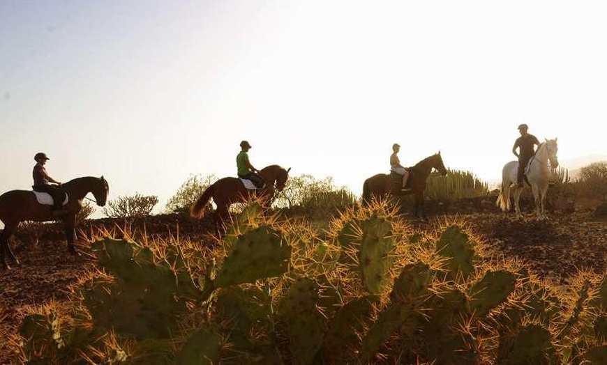 Image 2: Paseo a caballo de 60 min en Centro Hípico Finca Ecuestre La Primavera