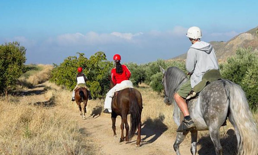 Image 7: Paseo a caballo de 1 hora por el Parque del Guadarrama con refresco