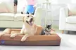 Laifug Pet Orthopedic Bed  - Second Medium