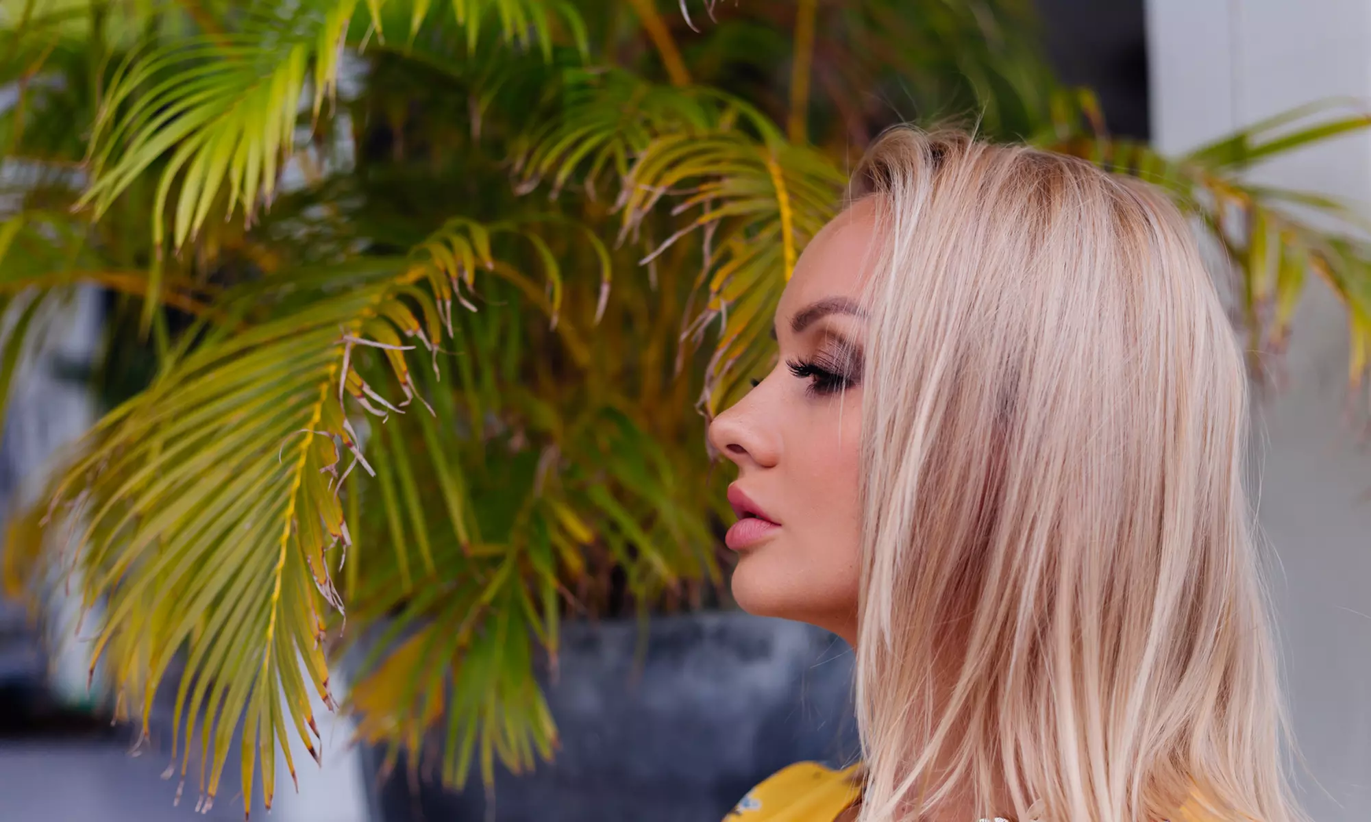 Peluquería con lavado, corte y secado, con opción a tinte y mechas