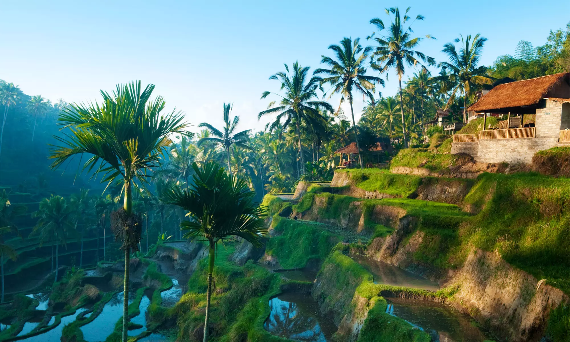 Bali Vacation. Price is per Person, Based on Two Guests per Room. Buy One Voucher per Person. - Primary Image
