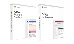 Microsoft Office 2019 Home or Professional Software & eLearning 