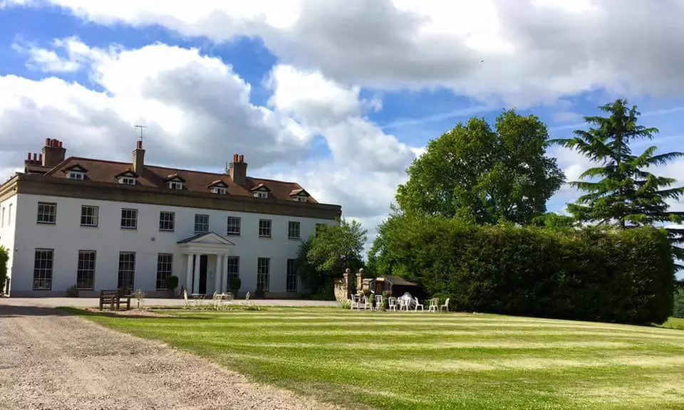 Charm in Every Step with Cute Alpacas: Walking Tour for Up to 4 People